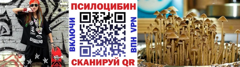 Купить где  Ивангород  Псилоцибиновые грибы прущие грибы 